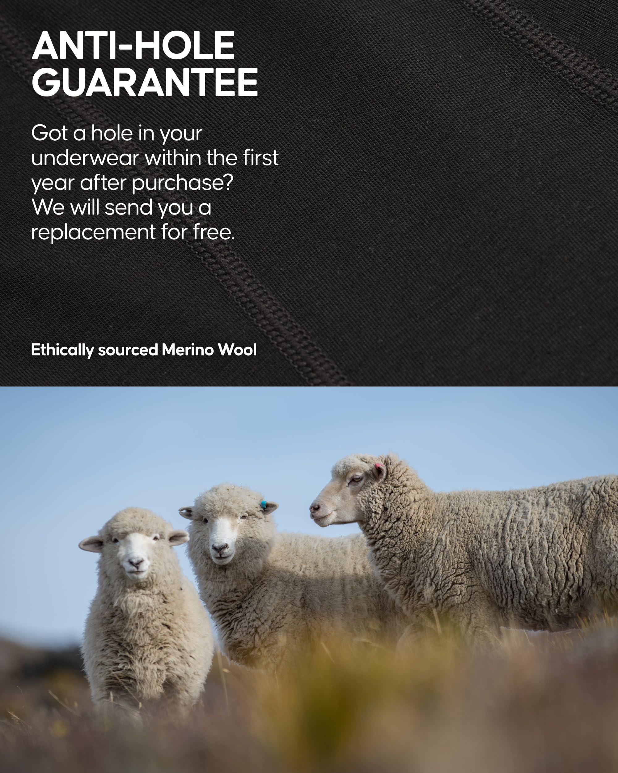 DANISH ENDURANCE Men's Merino Wool Boxer Briefs (1 or 2-Pack) – Odor-Resistant, Breathable & Sweat-Wicking, Optional Fly - Image 5